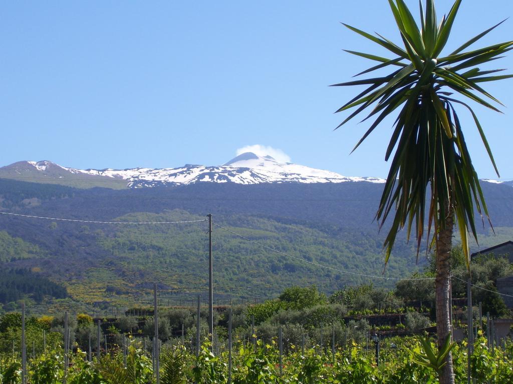 Etna Wine Azienda Agrituristica Passopisciaro Exteriér fotografie