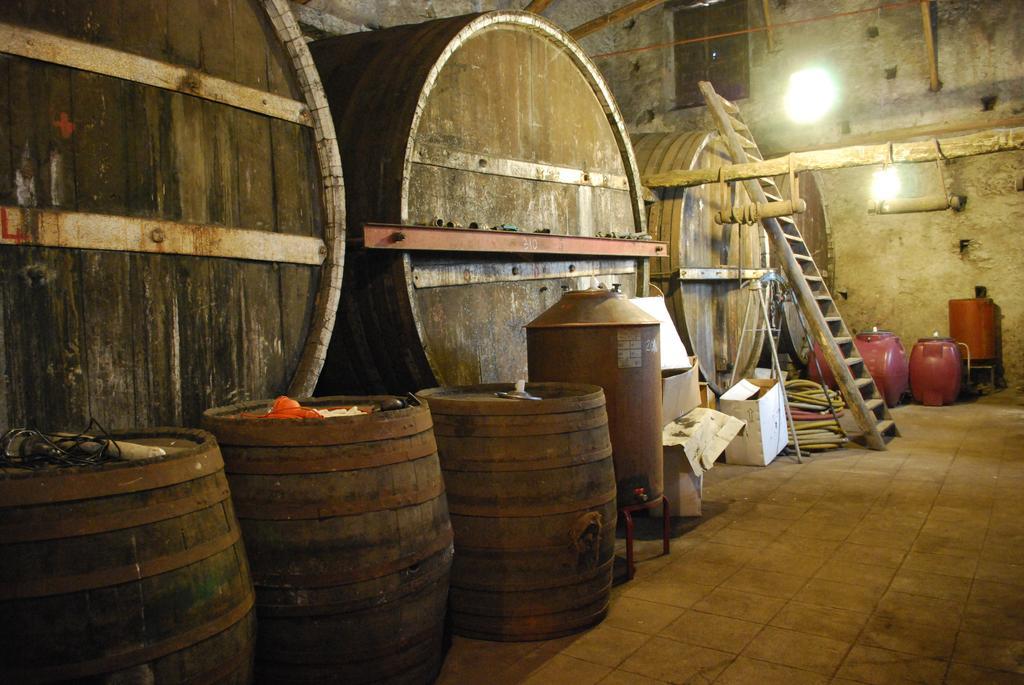Etna Wine Azienda Agrituristica Passopisciaro Exteriér fotografie